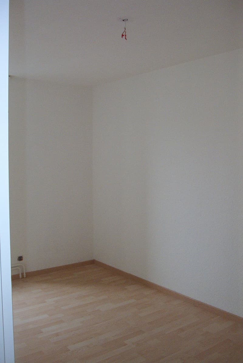Charmante 4-Zimmer-Maisonette-Wohnung mit Dachterrasse und Kamin in Biel/Bienne – sofort verfügbar! (31)