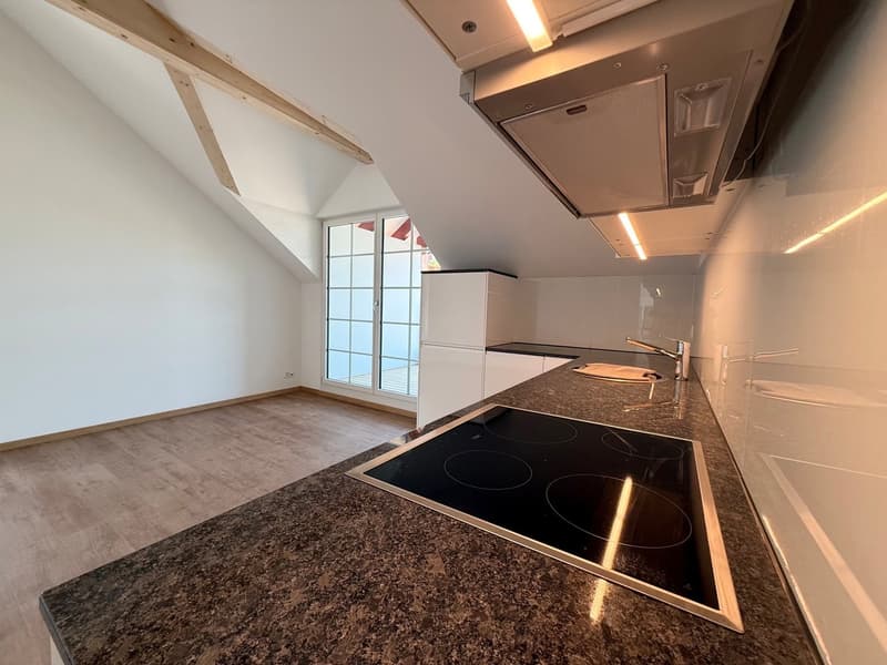 Kernsanierte 2-Zimmer-Dachgeschosswohnung (3)