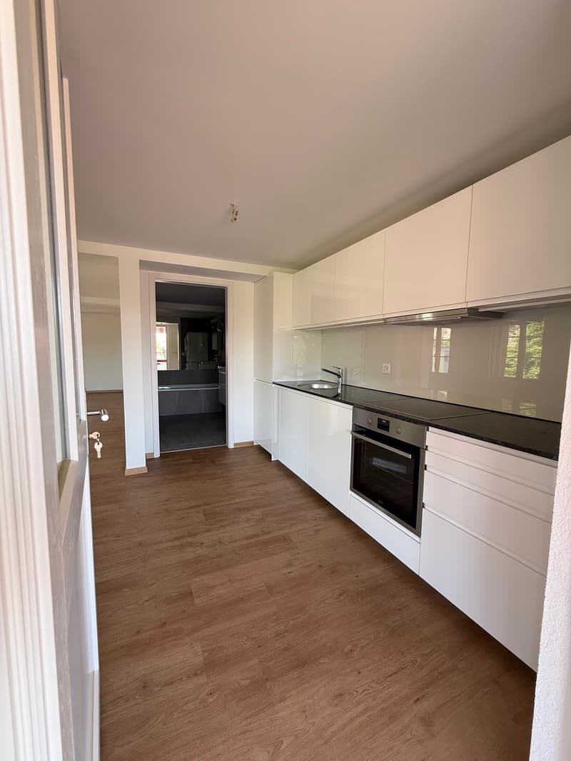 Kernsanierte zentral gelegene 2-Zim-Wohnung (5)