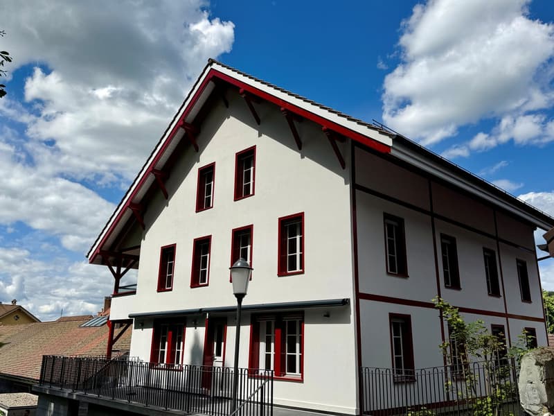 Kernsanierte zentral gelegene 2-Zim-Wohnung (1)