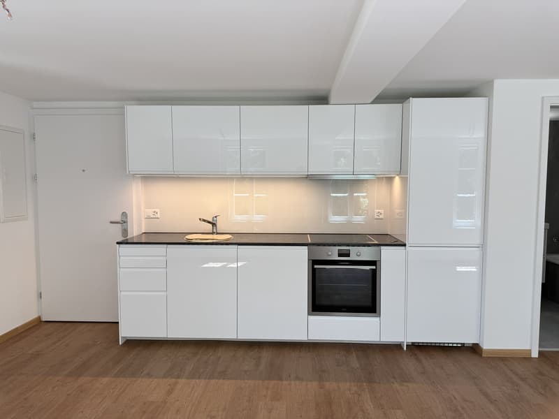Kernsanierte zentral gelegene 2-Zim-Wohnung (9)