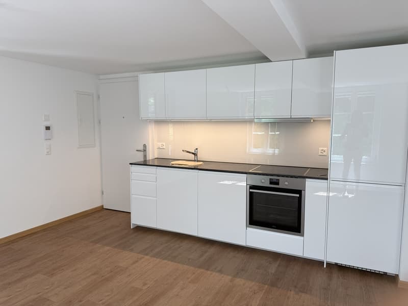 Kernsanierte zentral gelegene 2-Zim-Wohnung (6)