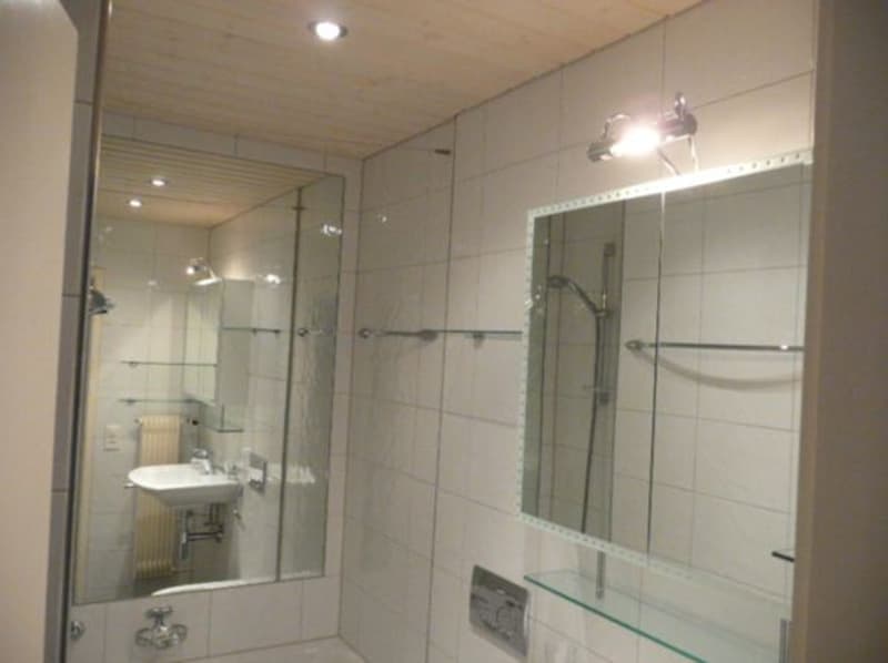1-Zimmer-Studio für Wochenaufenthalter Bümplizstrasse 185 (3)