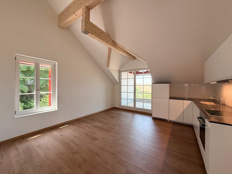 Erstbezug 2-Zimmer-Dachgeschosswohnung (1)