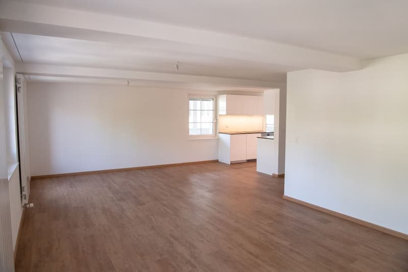 Kernsanierte zentral gelegene 3.5 Zi-Wohnung (14)
