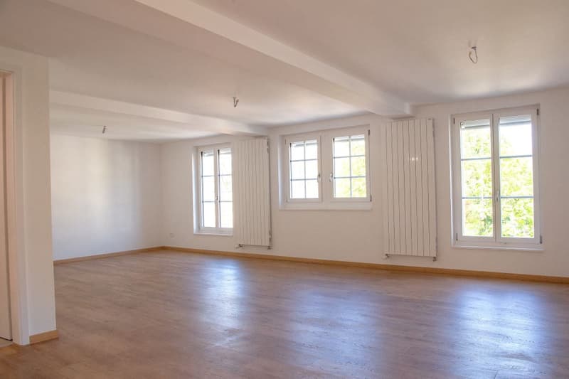 Kernsanierte zentral gelegene 3.5 Zi-Wohnung (8)