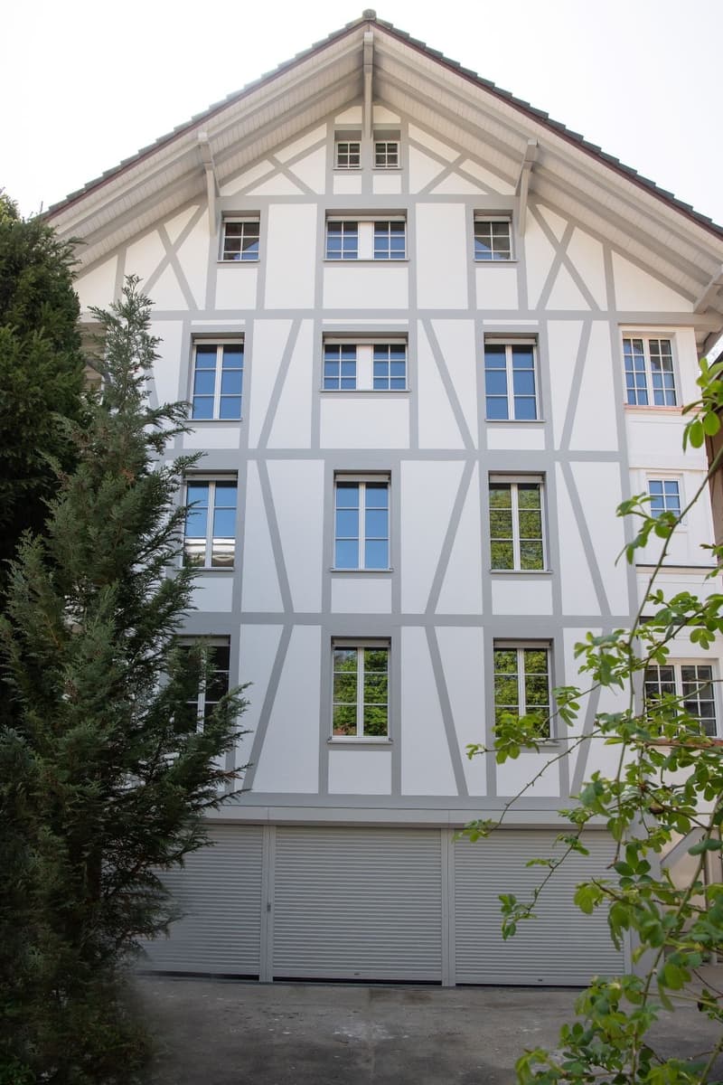 Kernsanierte zentral gelegene 3.5 Zi-Wohnung (3)