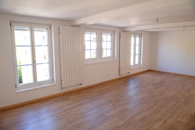 Kernsanierte zentral gelegene 3.5 Zi-Wohnung (9)