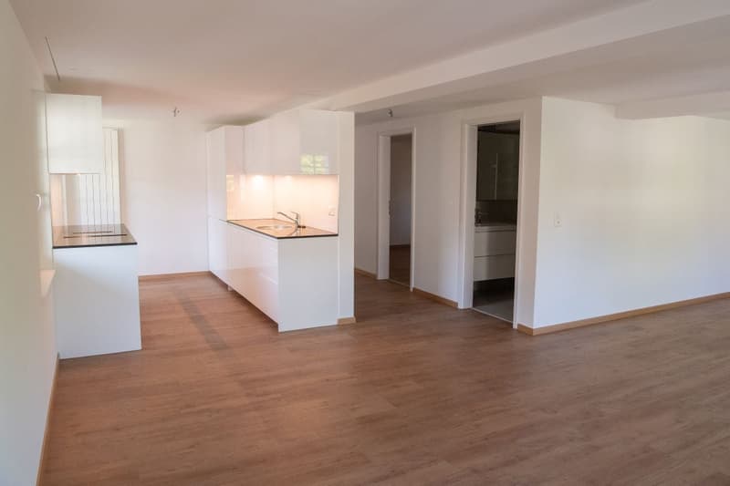 Kernsanierte zentral gelegene 3.5 Zi-Wohnung (15)