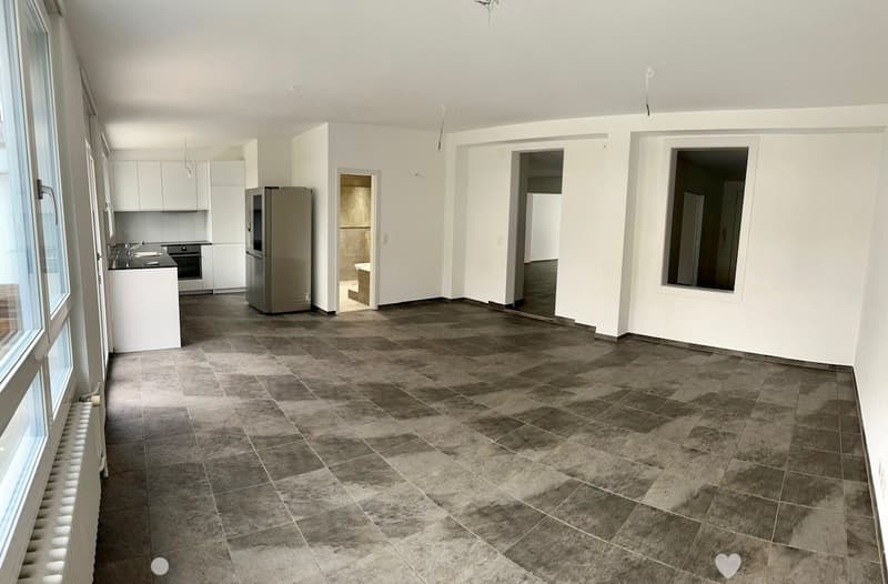 Loft-Wg 99m2 mit Gartensitzplatz, Parkplatz Mattenstr. 44, 2503 Biel EG (1)