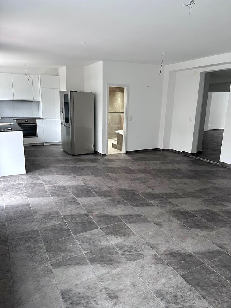 Loft-Wg 99m2 mit Gartensitzplatz, Parkplatz Mattenstr. 44, 2503 Biel EG (9)