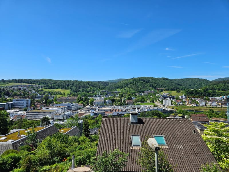 Wohnen wie im eigenen Haus - Attika-Maisonette mit Traumterrasse & Garten (2)