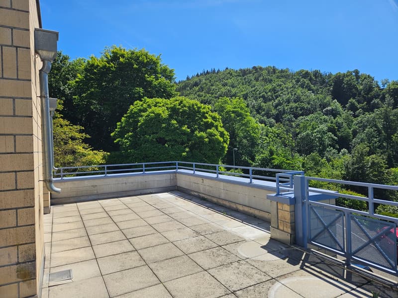 Wohnen wie im eigenen Haus - Attika-Maisonette mit Traumterrasse & Garten (13)