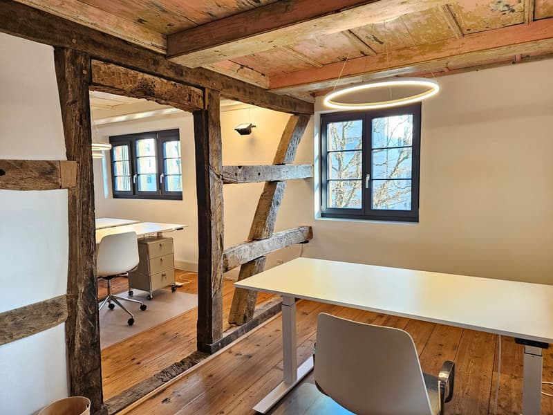 Eine unglaubliche Geschichte geht weiter....Riegelhaus zu vermieten (10)