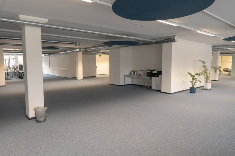 Ihr neues Büro beim Dreispitz-Areal – wo Ideen Raum finden! (5)