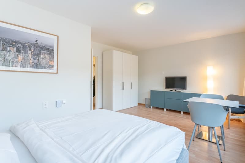Willkommen am Herrengrabenweg 15 in Basel! (2)