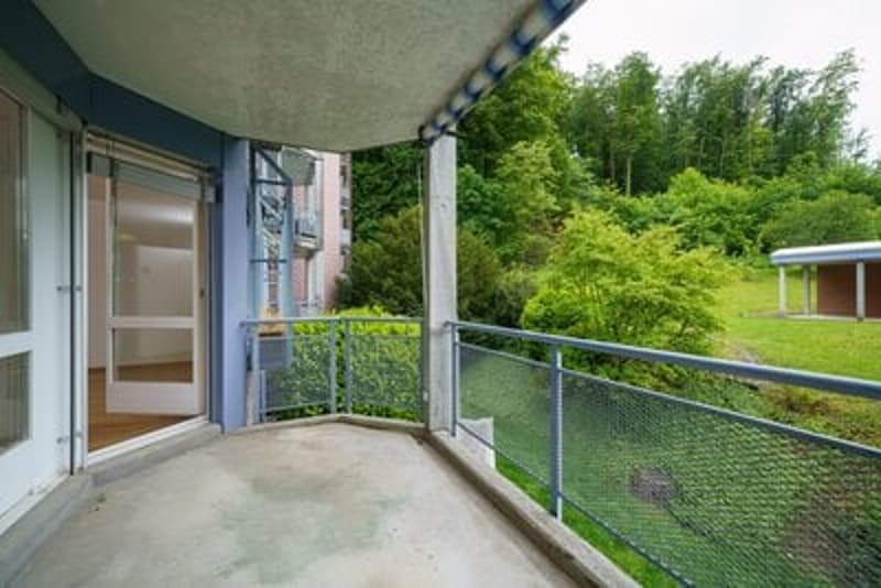 Living in a family-friendly community in beautiful Baselbiet (14)