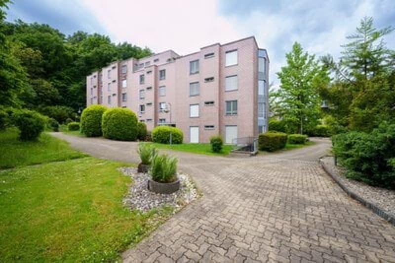 Living in a family-friendly community in beautiful Baselbiet (8)