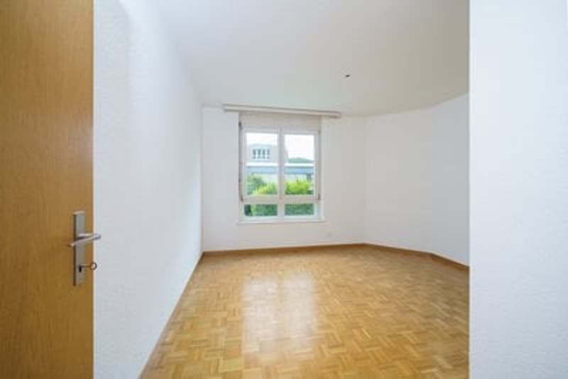Living in a family-friendly community in beautiful Baselbiet (9)