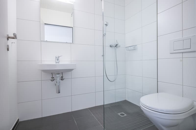 white tiled walls, white sink, glass shower enclosure, white toilet, mirror