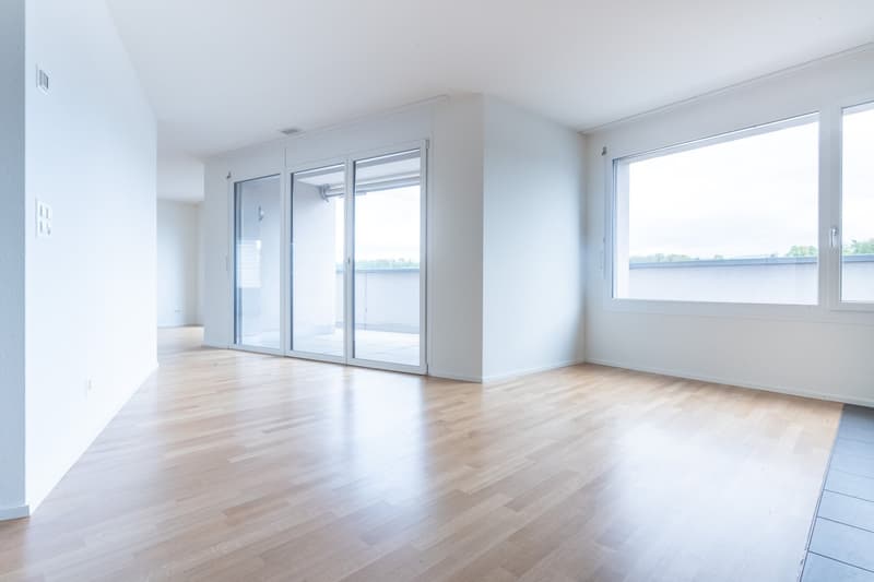 empty room, wooden floor, sliding glass doors, large windows, white walls