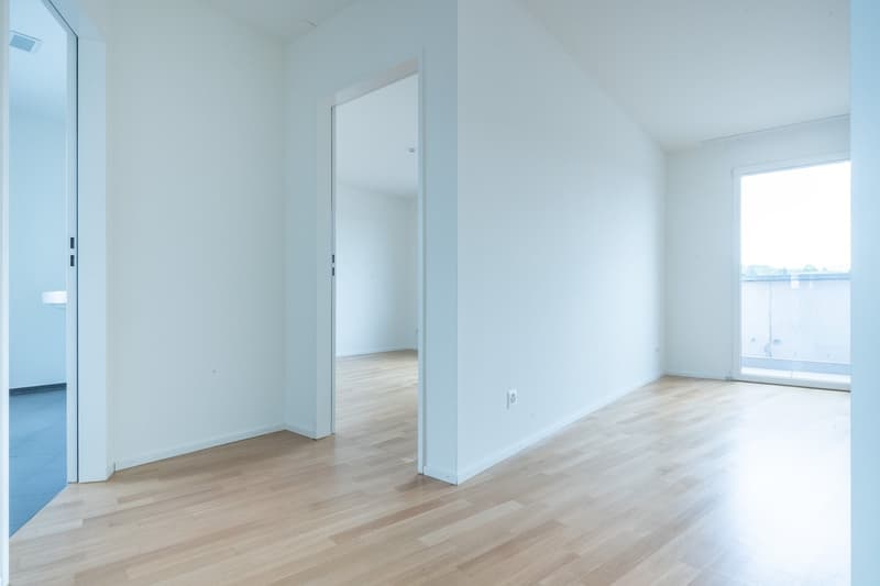 empty room, wooden floor, white walls, glass door, power outlet