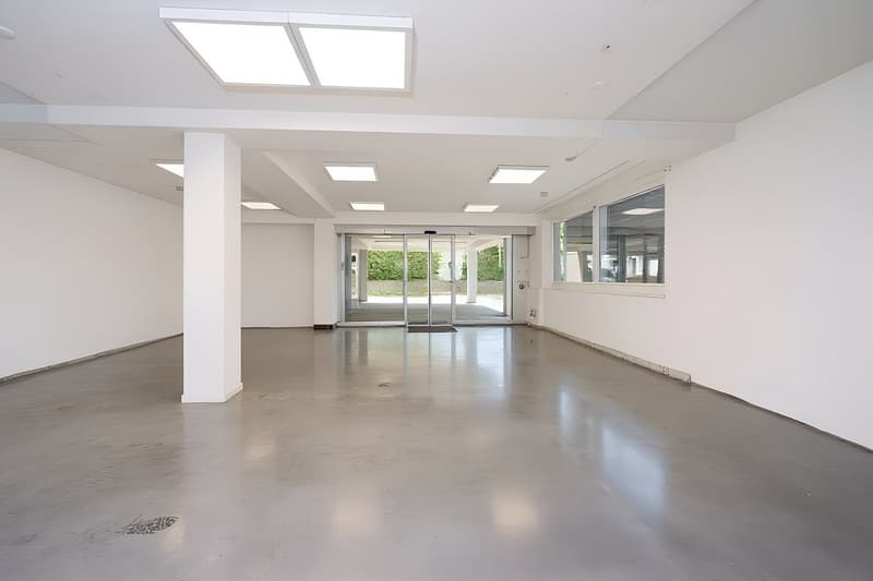 Commercial / retail space in central location in Füllinsdorf (4)