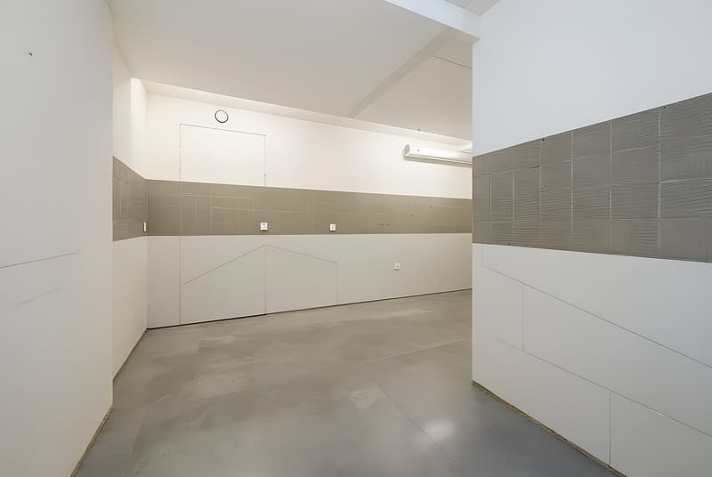 Commercial / retail space in central location in Füllinsdorf (9)