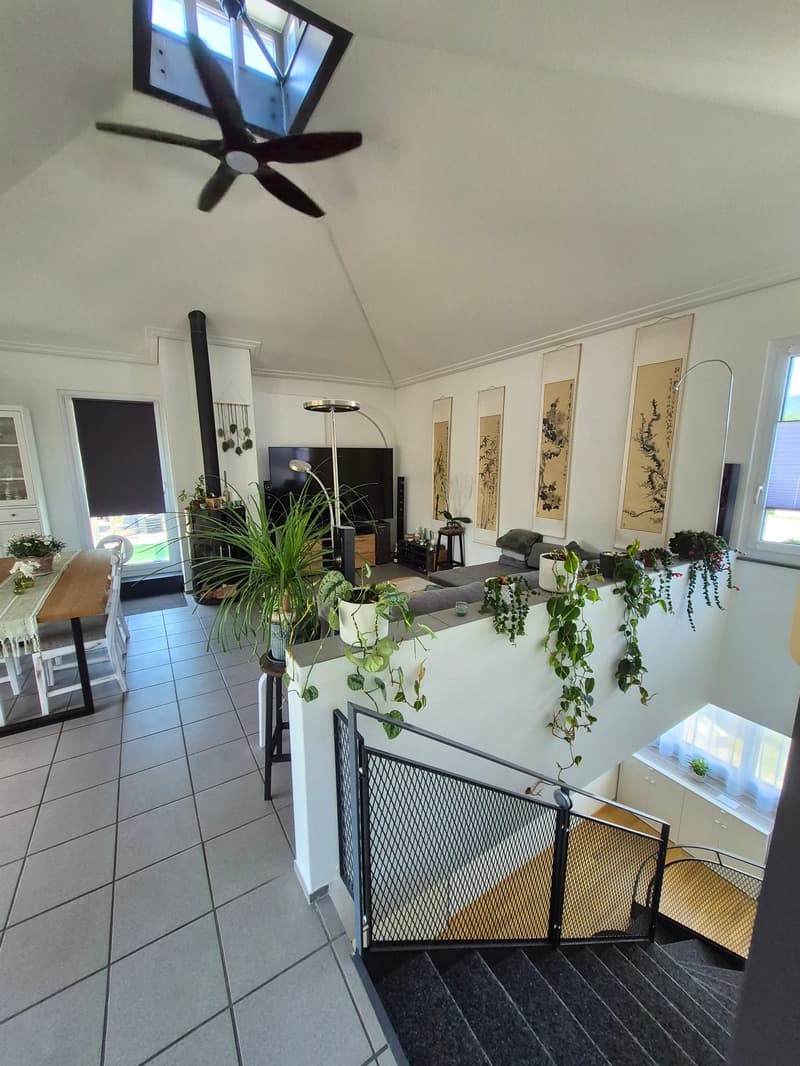 Grosszügige Maisonette-Wohnung mit toller Dachterrasse (3)