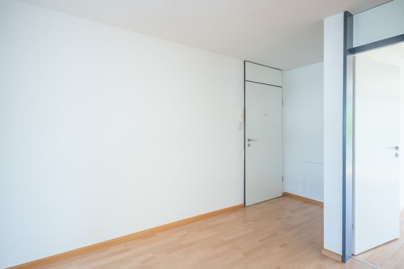 Grosszügige Maisonette-Wohnung mit toller Dachterrasse (11)