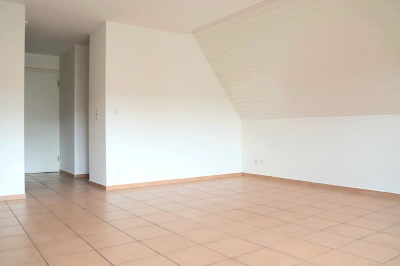 Charmante 3-Zimmer-Maisonette-Wohnung in Biel-Benken (4)