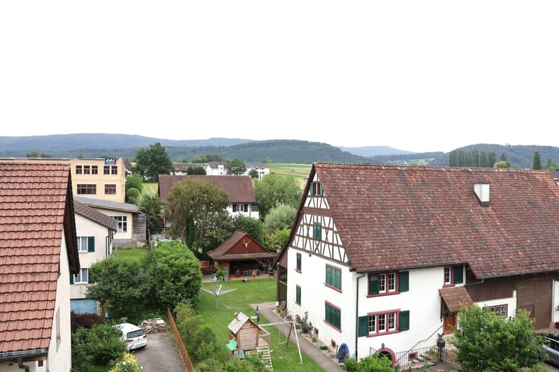 Charmante 3-Zimmer-Maisonette-Wohnung in Biel-Benken (11)