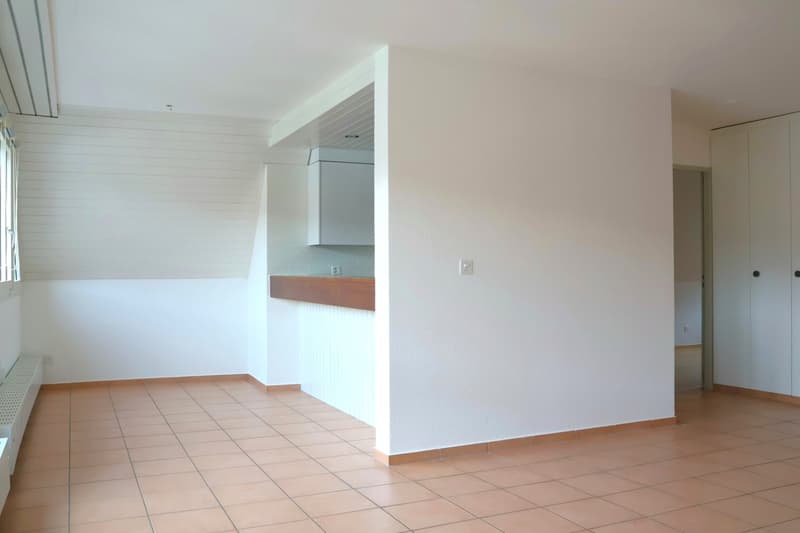 Charmante 3-Zimmer-Maisonette-Wohnung in Biel-Benken (3)