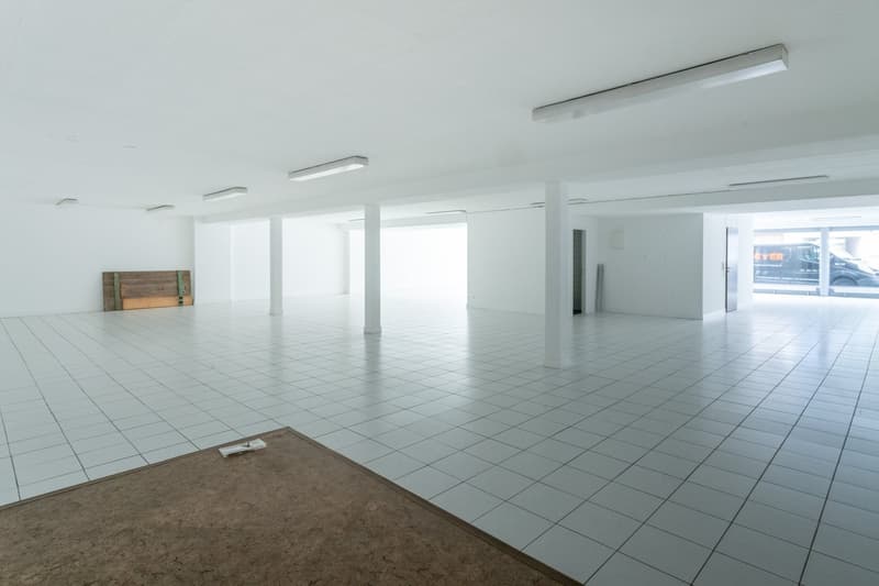 Teilfläche/n in Riehen zu vermieten (40 - 262 m2) (2)