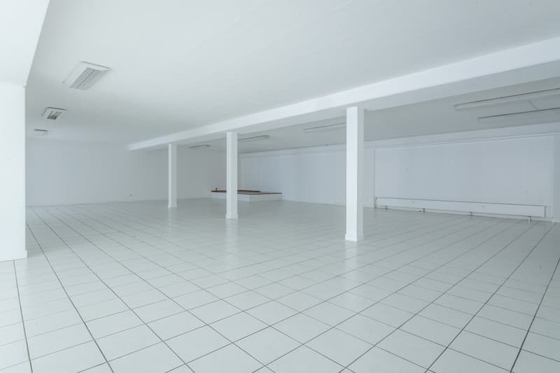 Teilfläche/n in Riehen zu vermieten (40 - 262 m2) (7)