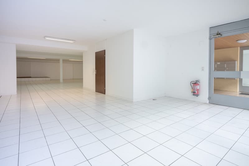Teilfläche/n in Riehen zu vermieten (40 - 262 m2) (5)