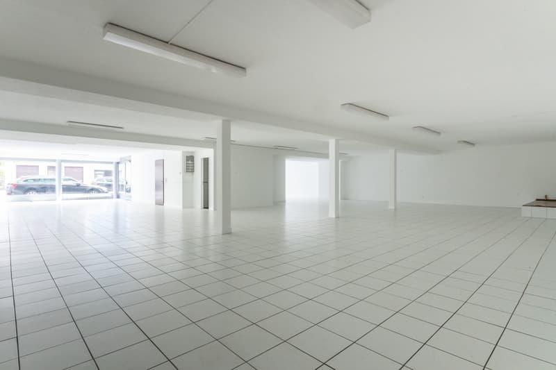 Teilfläche/n in Riehen zu vermieten (40 - 262 m2) (1)