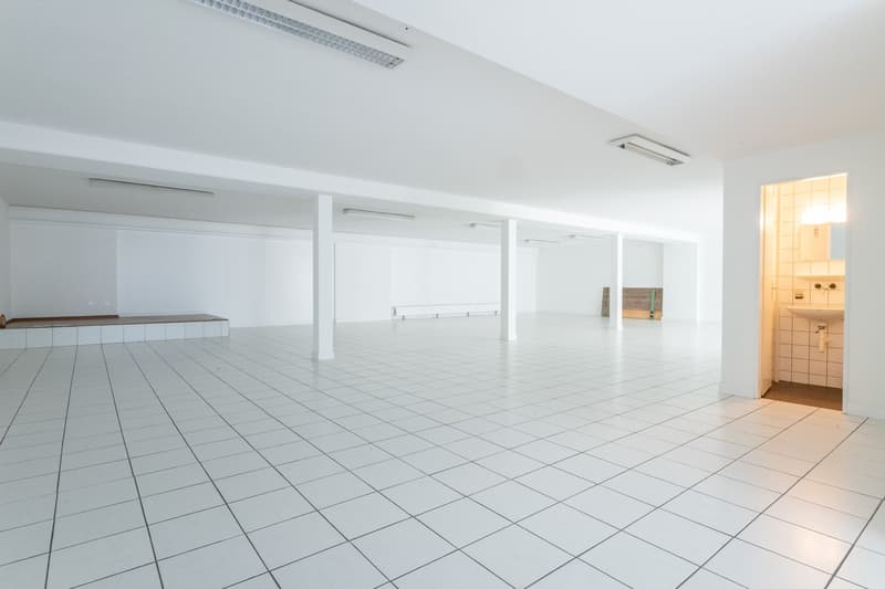 Teilfläche/n in Riehen zu vermieten (40 - 262 m2) (9)