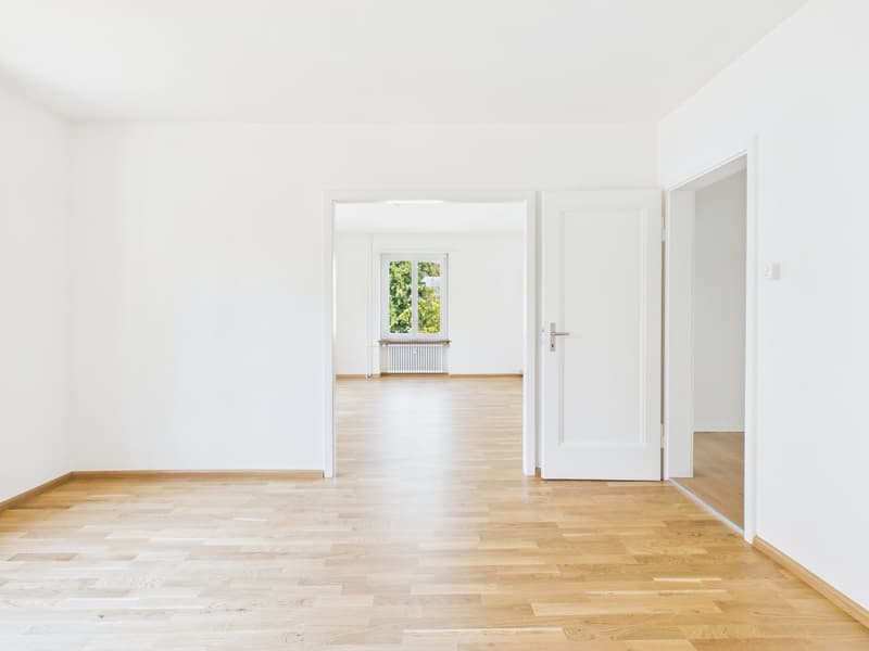 Charmante 4-Zimmer-Wohnung an der Gellertstrasse in Basel (5)