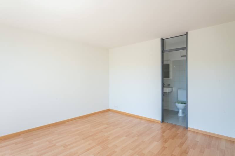 Grosszügige Maisonette-Wohnung mit toller Dachterrasse (7)