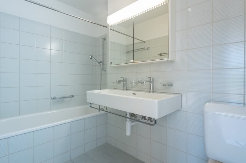 Grosszügige Maisonette-Wohnung mit toller Dachterrasse (3)