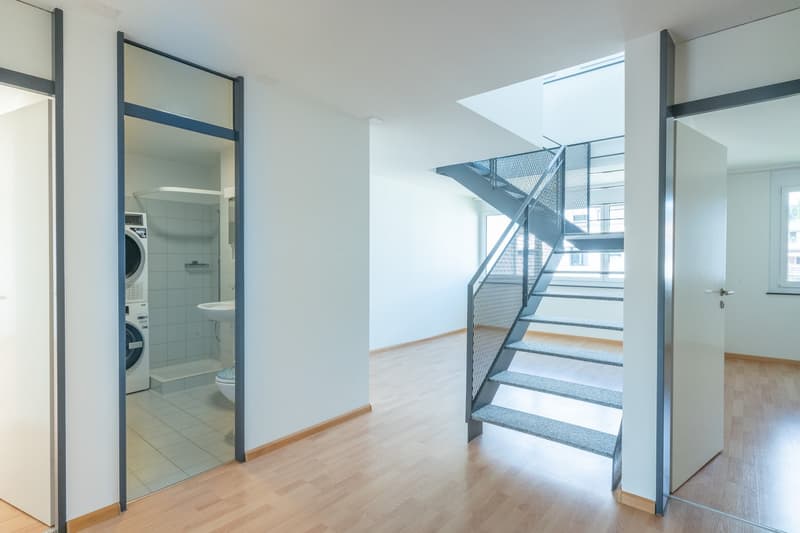 Grosszügige Maisonette-Wohnung mit toller Dachterrasse (12)