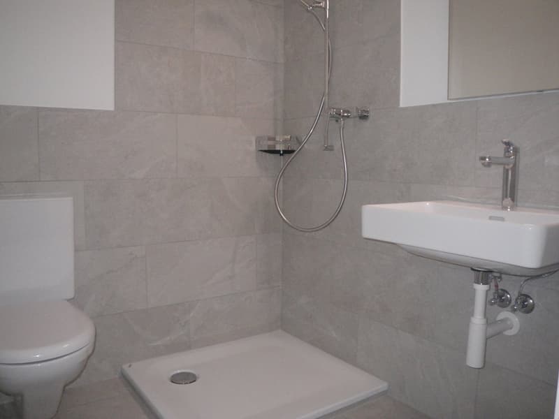 Schöne 4.5-Zimmerwohnung in Bettlach, 2. Obergeschoss (9)