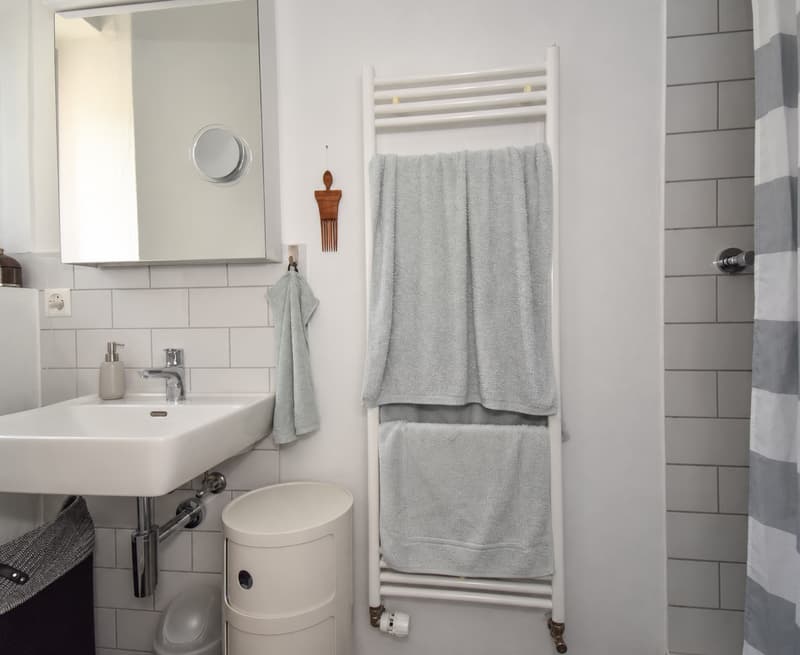 Charmante 3.5-Zimmer-Altbauwohnung in Solothurn (5)