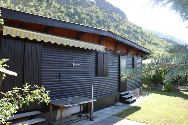 Vivre dans le vert : chalet de 2,5 pièces sur le camping St. Monica (7)
