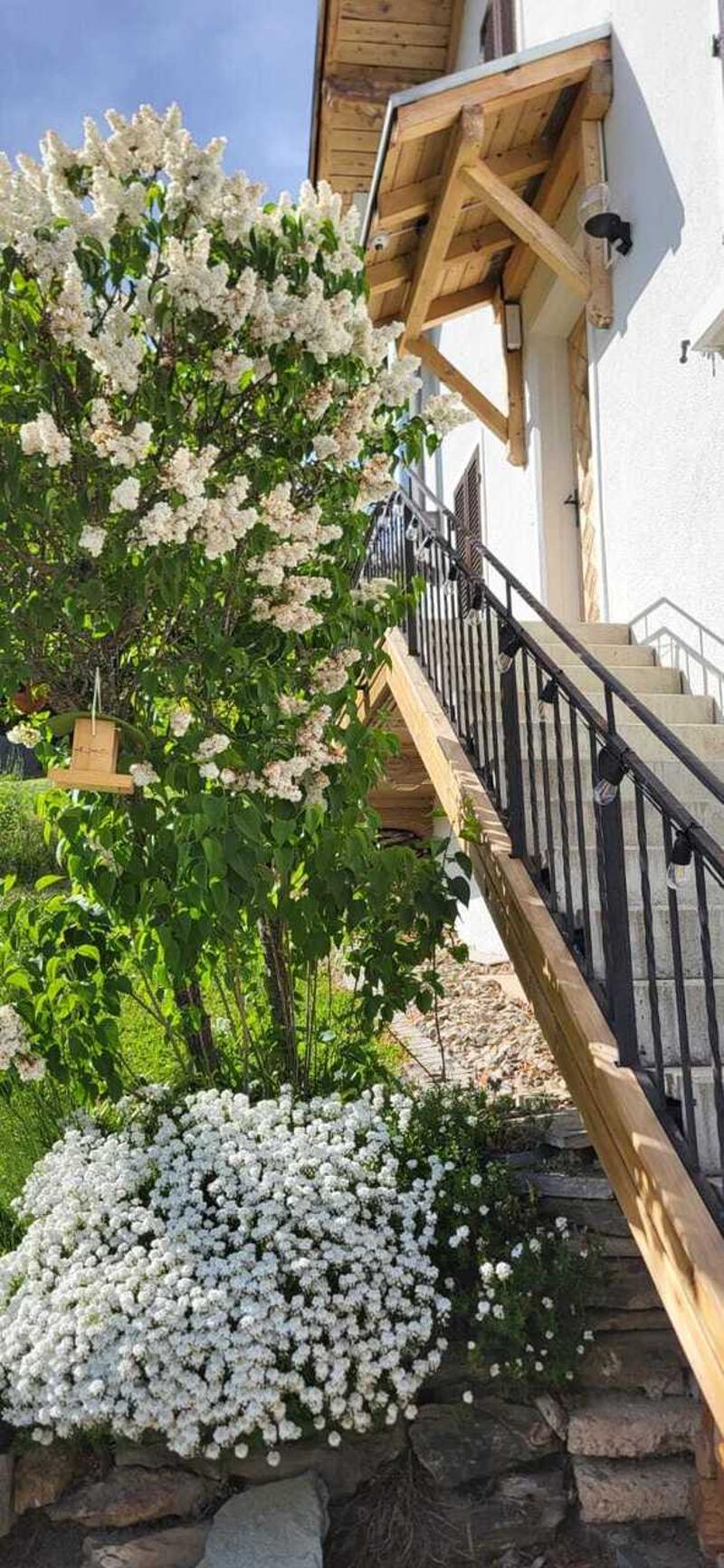 Appartamento di 3.5 locali con vista panoramica in una zona tranquilla (5)