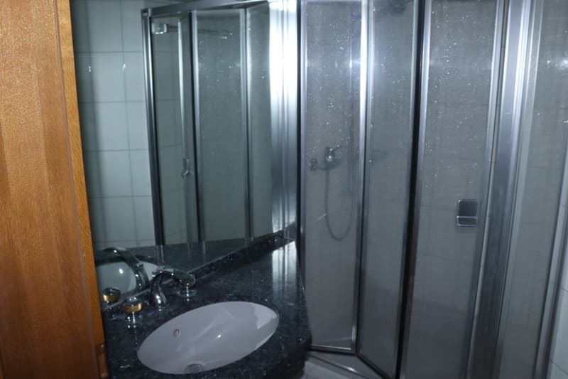 Grosse 4.5 Zimmerwohnung an sensationeller Lage (9)