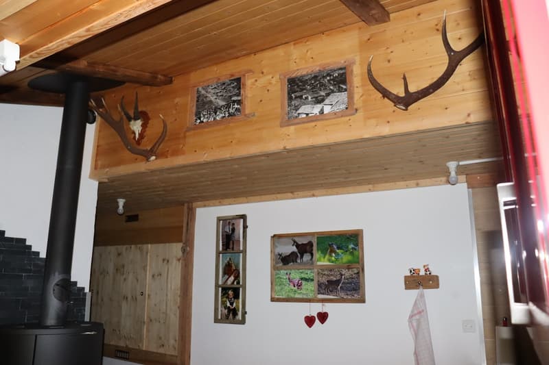 Alpine Idylle pur - naturverbundener Rückzugsort auf der Bachalp (VS) (10)