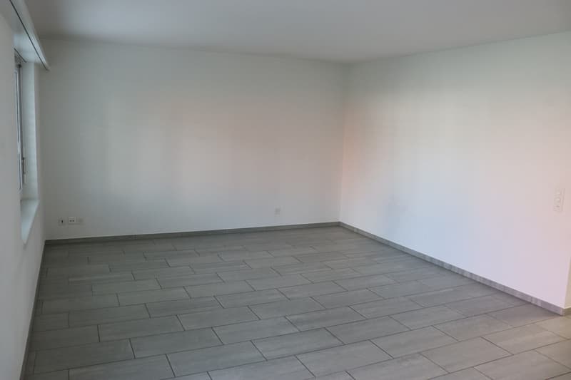 Moderne Eleganz: Stilvolle Wohnung mit grosszügigem Aussenbereich! (4)