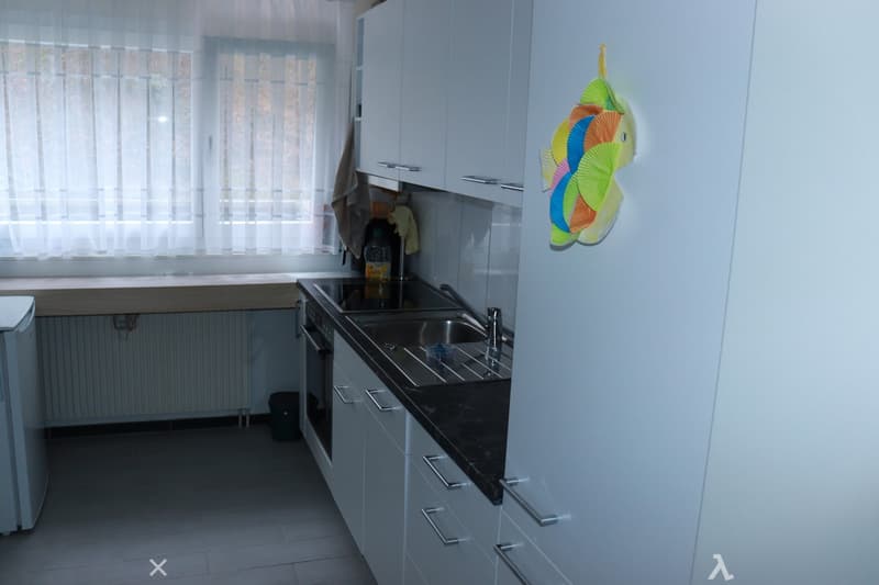 Charmante Erdgeschosswohnung in Matten bei Interlaken (4)